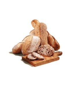 Bread Biscuit