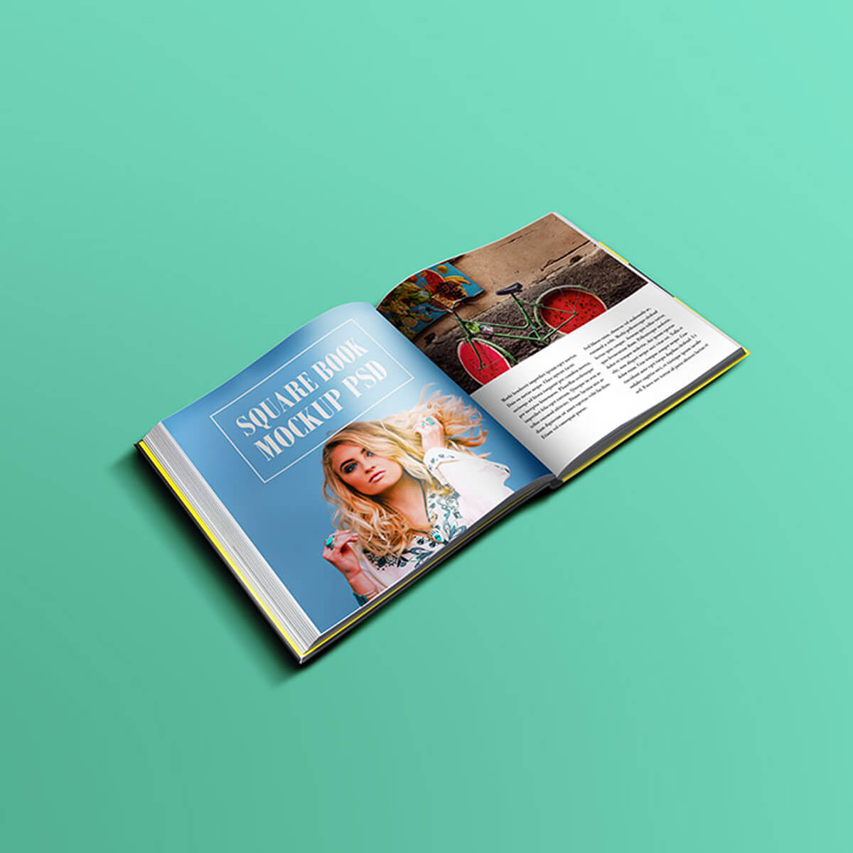 Free Portfolio Design Plugin